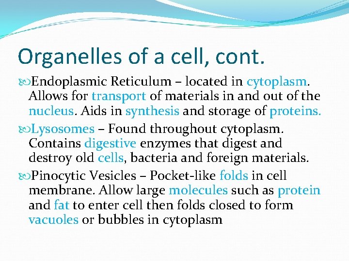 Organelles of a cell, cont. Endoplasmic Reticulum – located in cytoplasm. Allows for transport