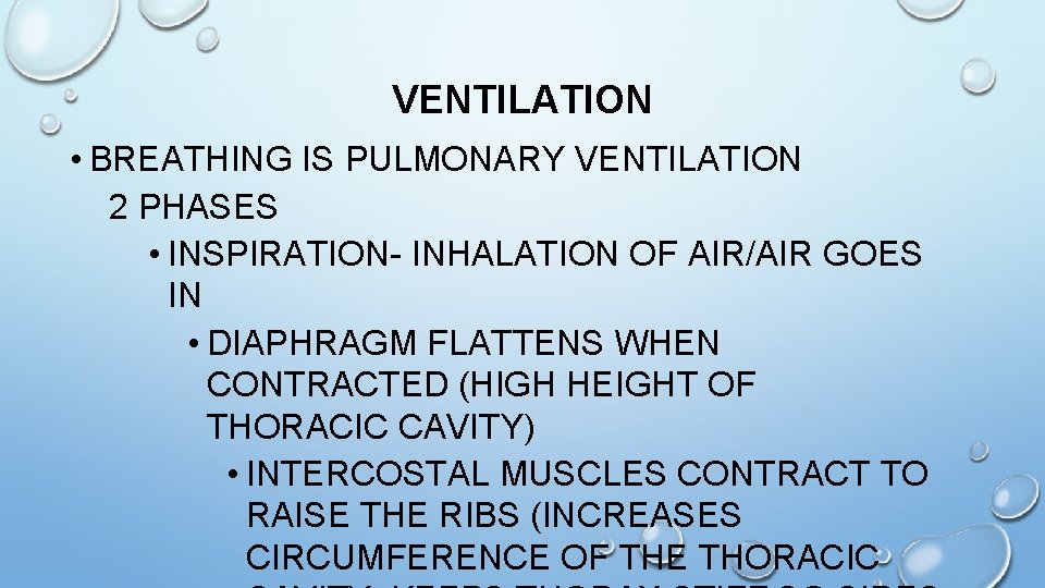 VENTILATION • BREATHING IS PULMONARY VENTILATION 2 PHASES • INSPIRATION- INHALATION OF AIR/AIR GOES