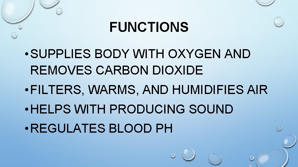 FUNCTIONS • SUPPLIES BODY WITH OXYGEN AND REMOVES CARBON DIOXIDE • FILTERS, WARMS, AND
