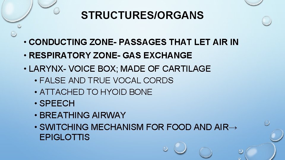 STRUCTURES/ORGANS • CONDUCTING ZONE- PASSAGES THAT LET AIR IN • RESPIRATORY ZONE- GAS EXCHANGE