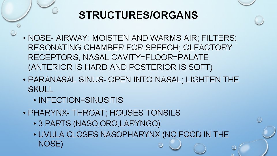 STRUCTURES/ORGANS • NOSE- AIRWAY; MOISTEN AND WARMS AIR; FILTERS; RESONATING CHAMBER FOR SPEECH; OLFACTORY