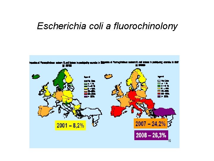 Escherichia coli a fluorochinolony 