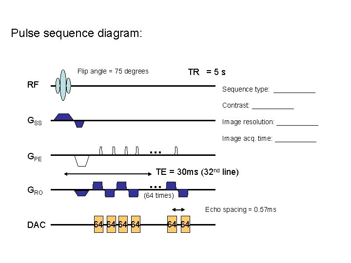 Pulse sequence diagram: TR = 5 s Flip angle = 75 degrees RF Sequence