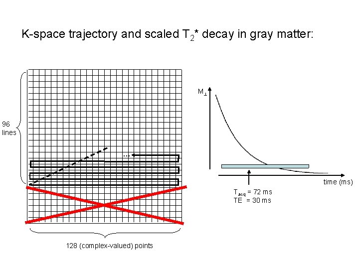 K-space trajectory and scaled T 2* decay in gray matter: M 96 lines …