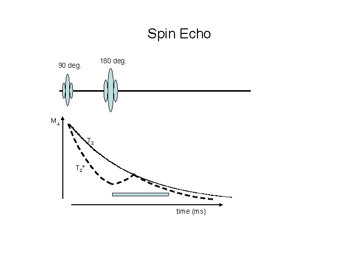 Spin Echo 180 deg. 90 deg. M T 2* time (ms) 