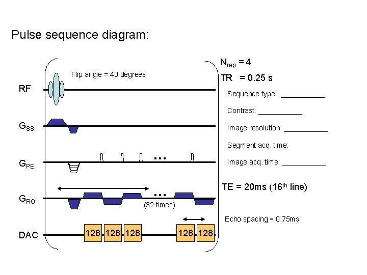 Pulse sequence diagram: Nrep = 4 Flip angle = 40 degrees TR = 0.