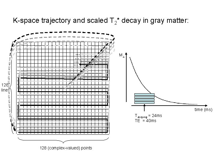 K-space trajectory and scaled T 2* decay in gray matter: … … M 128