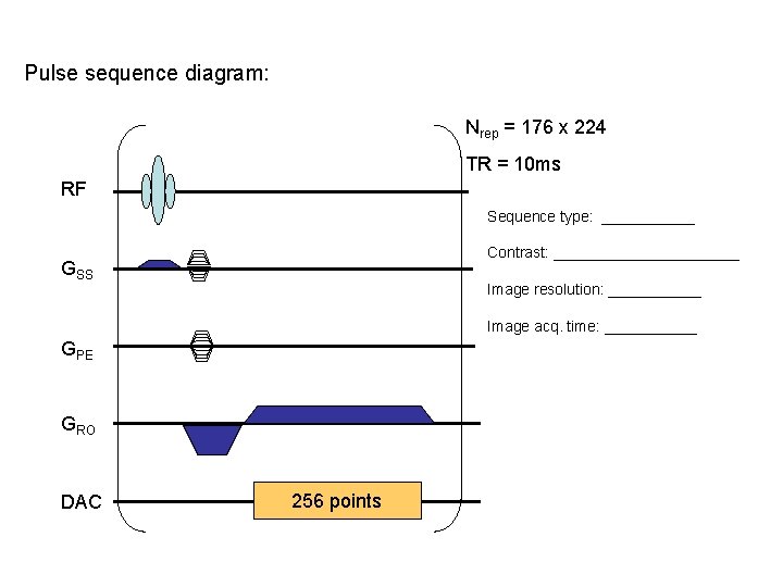 Pulse sequence diagram: Nrep = 176 x 224 TR = 10 ms RF Sequence