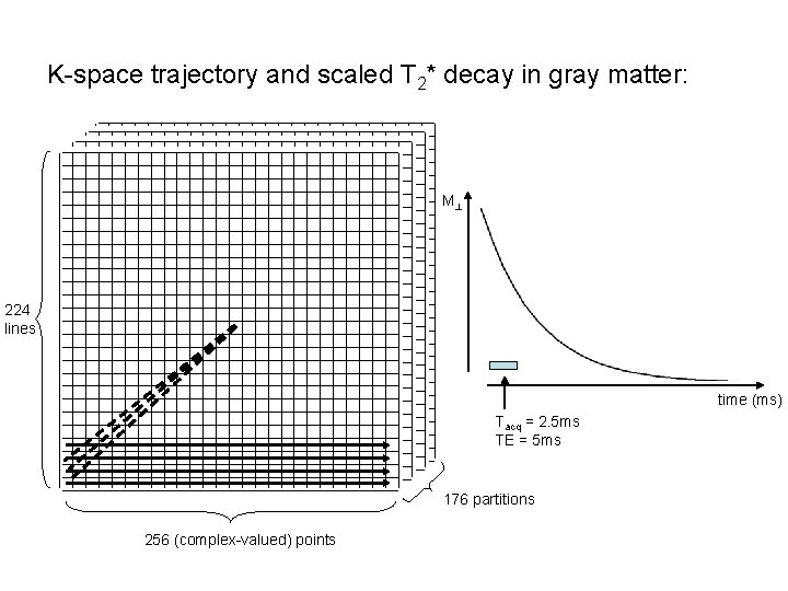 K-space trajectory and scaled T 2* decay in gray matter: M 224 lines time