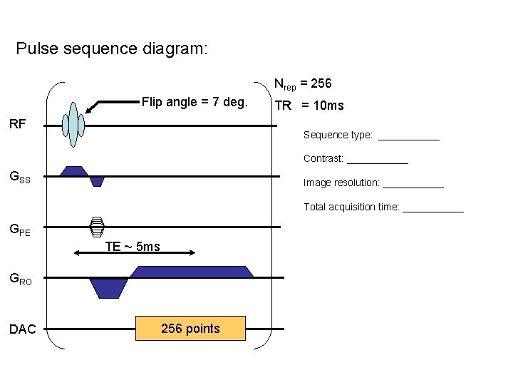 Pulse sequence diagram: Nrep = 256 Flip angle = 7 deg. RF TR =