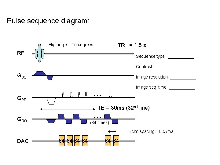 Pulse sequence diagram: TR = 1. 5 s Flip angle = 75 degrees RF