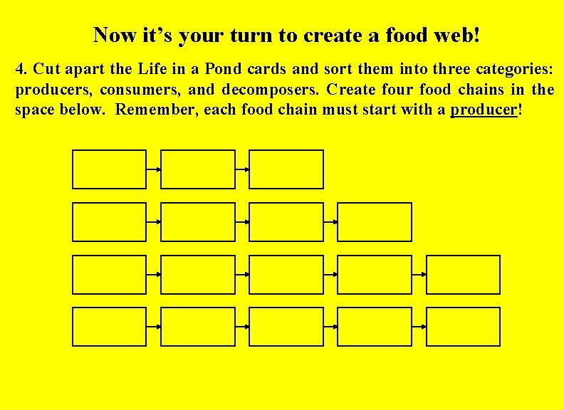 Now it’s your turn to create a food web! 4. Cut apart the Life Now it’s your turn to create a food web! 4. Cut apart the Life