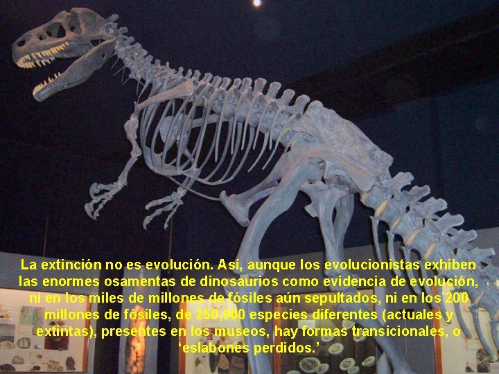 La extinción no es evolución. Así, aunque los evolucionistas exhiben las enormes osamentas de