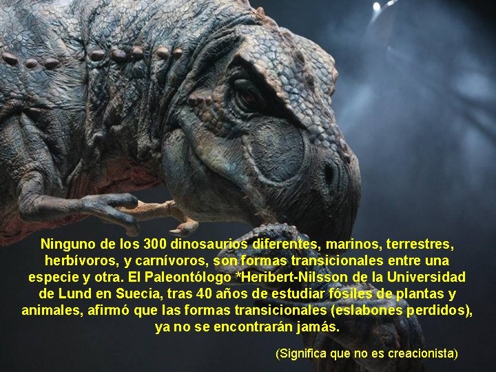 Ninguno de los 300 dinosaurios diferentes, marinos, terrestres, herbívoros, y carnívoros, son formas transicionales