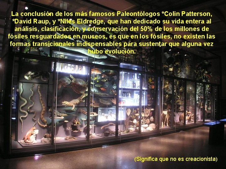 La conclusión de los más famosos Paleontólogos *Colin Patterson, *David Raup, y *Niles Eldredge,