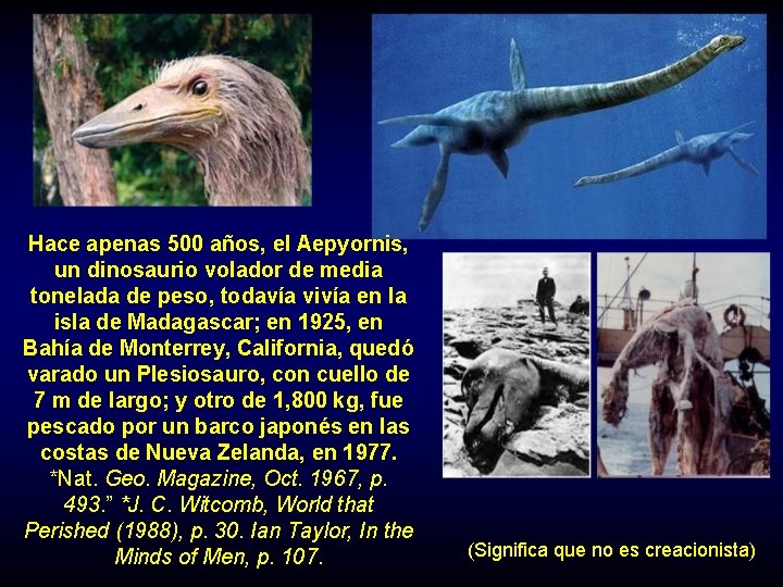 Hace apenas 500 años, el Aepyornis, un dinosaurio volador de media tonelada de peso,