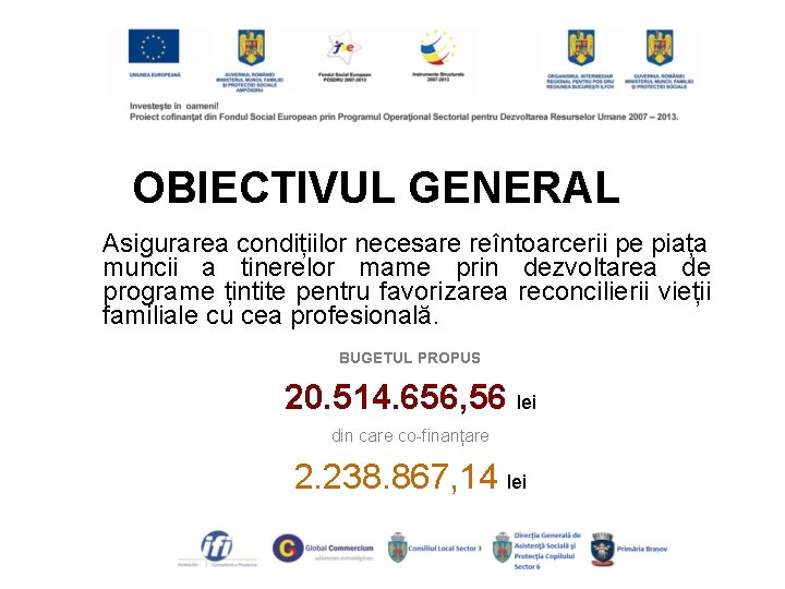 OBIECTIVUL GENERAL Asigurarea condițiilor necesare reîntoarcerii pe piața muncii a tinerelor mame prin dezvoltarea