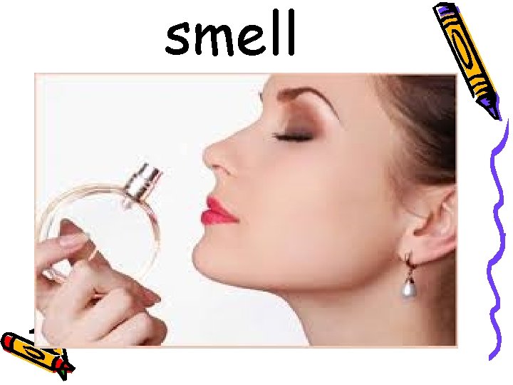 smell 