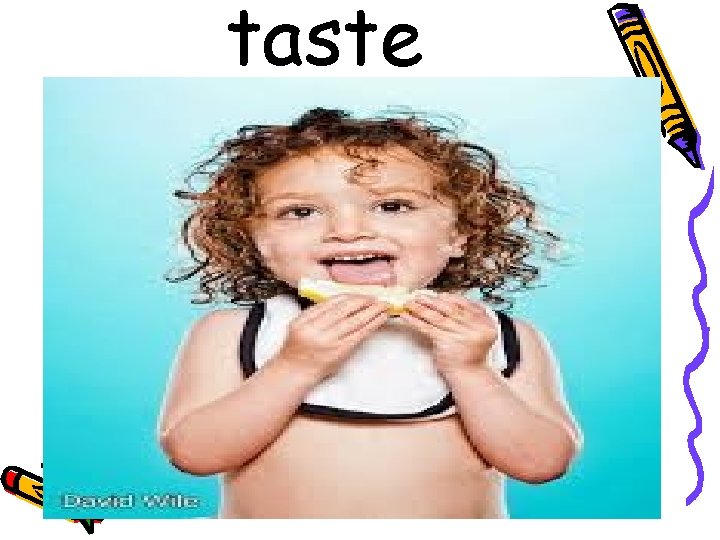 taste 