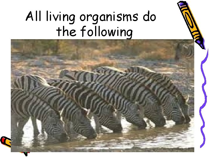 All living organisms do the following 