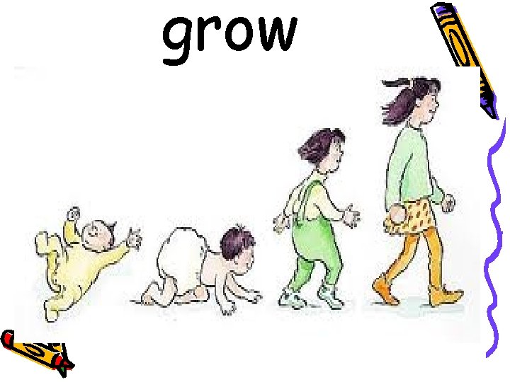 grow 
