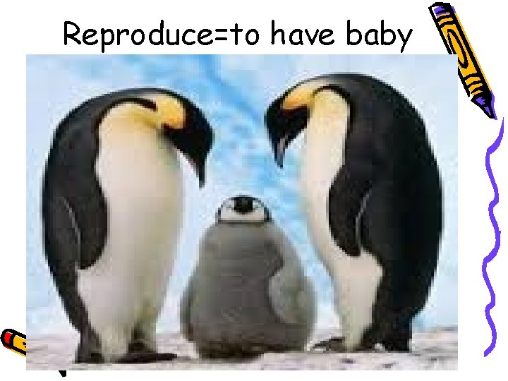 Reproduce=to have baby 