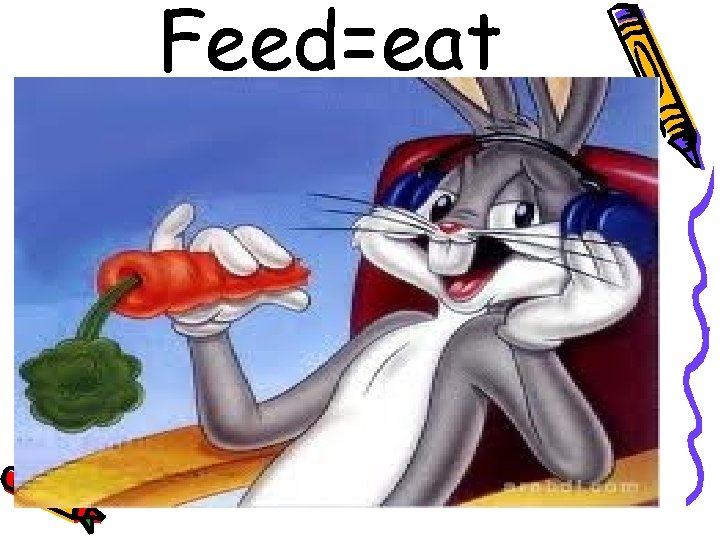 Feed=eat 