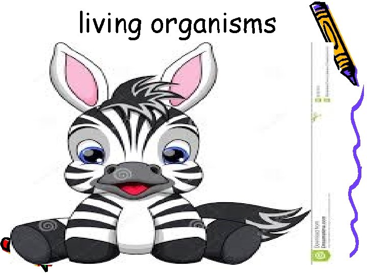 living organisms 