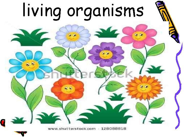 living organisms 