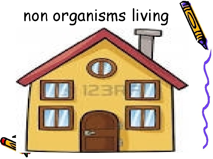 non organisms living 