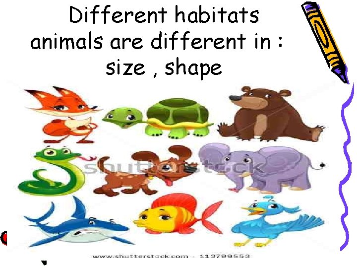 Different habitats animals are different in : size , shape 