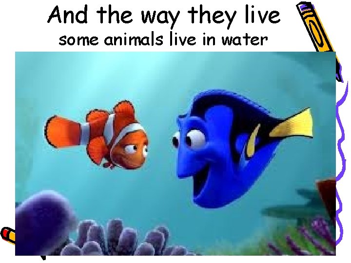 And the way they live some animals live in water 