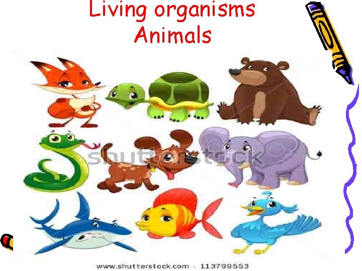 Living organisms Animals 