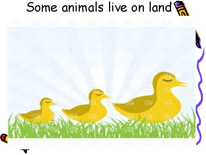 Some animals live on land 