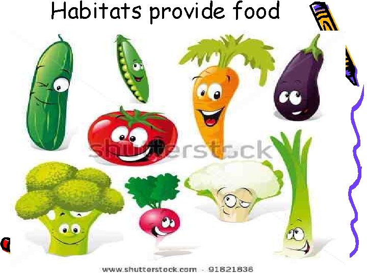 Habitats provide food 