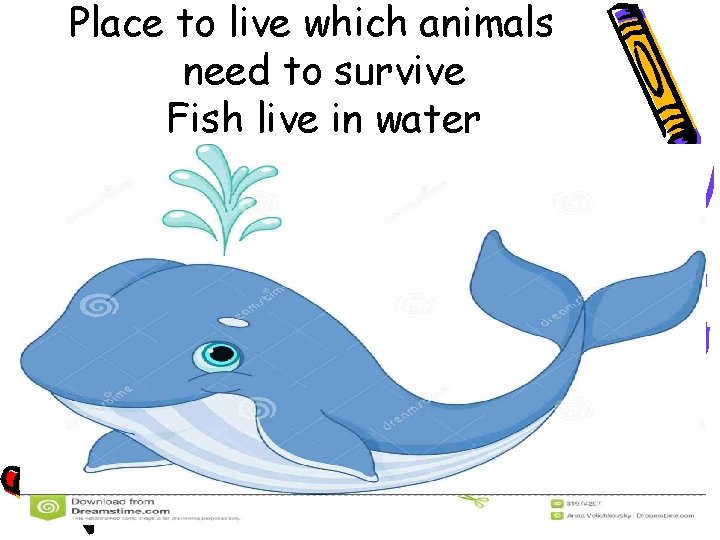 Place to live which animals need to survive Fish live in water 