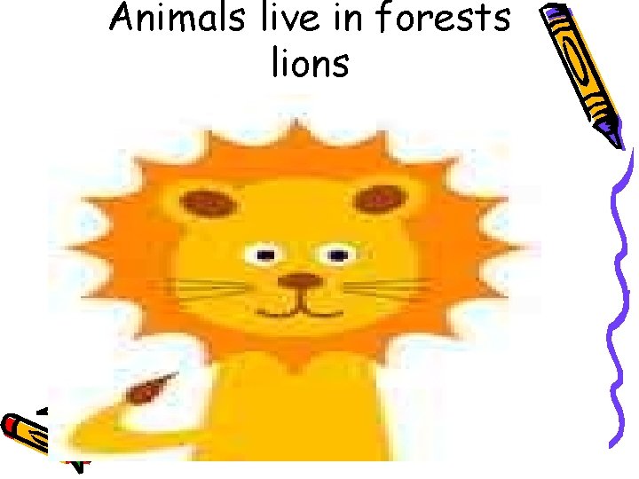 Animals live in forests lions 