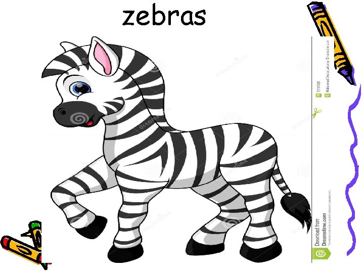 zebras 