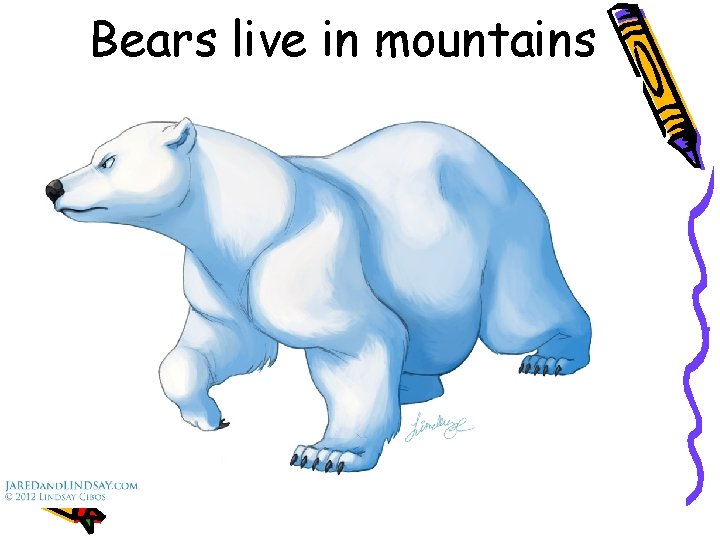 Bears live in mountains 