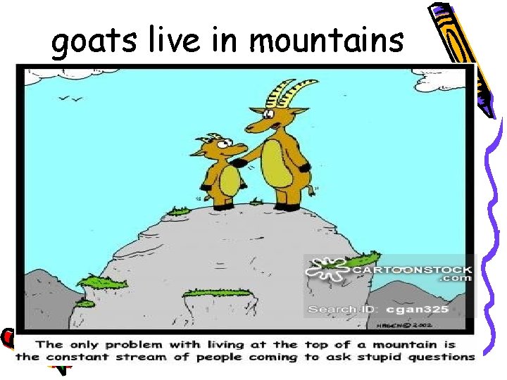goats live in mountains 