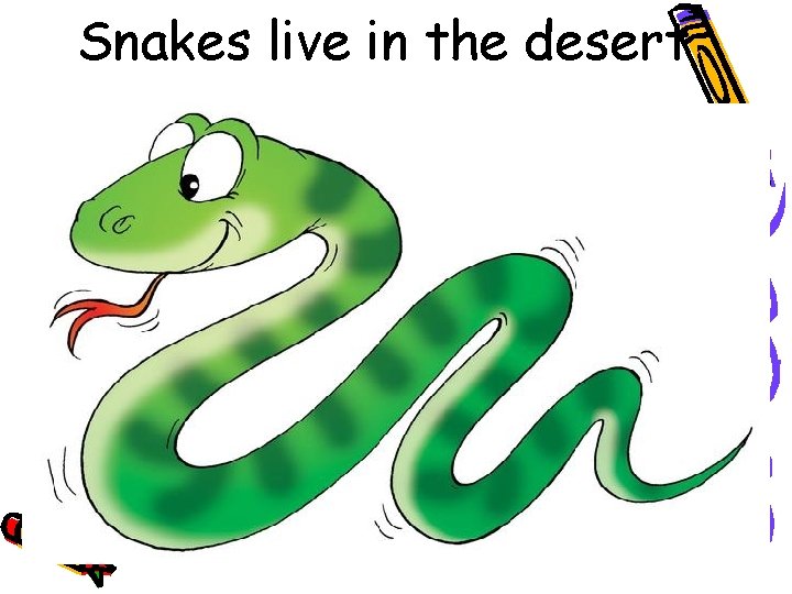 Snakes live in the desert 