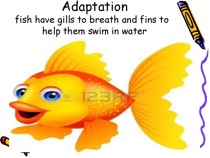 Adaptation fish have gills to breath and fins to help them swim in water