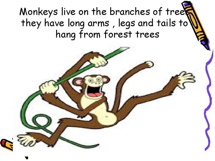 Monkeys live on the branches of trees they have long arms , legs and