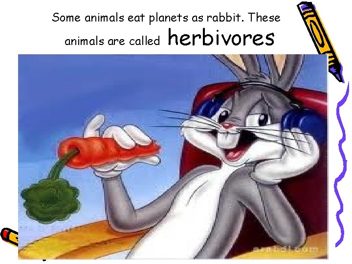 Some animals eat planets as rabbit. These animals are called herbivores 