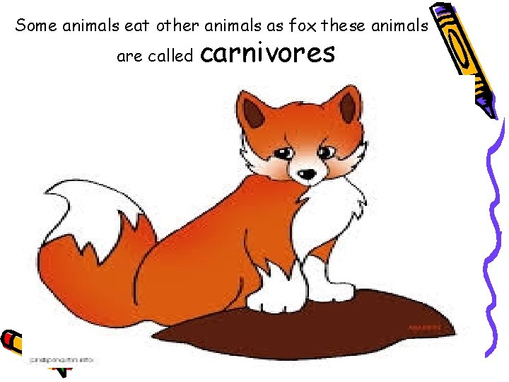 Some animals eat other animals as fox these animals are called carnivores 
