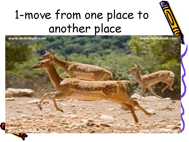 1 -move from one place to another place 