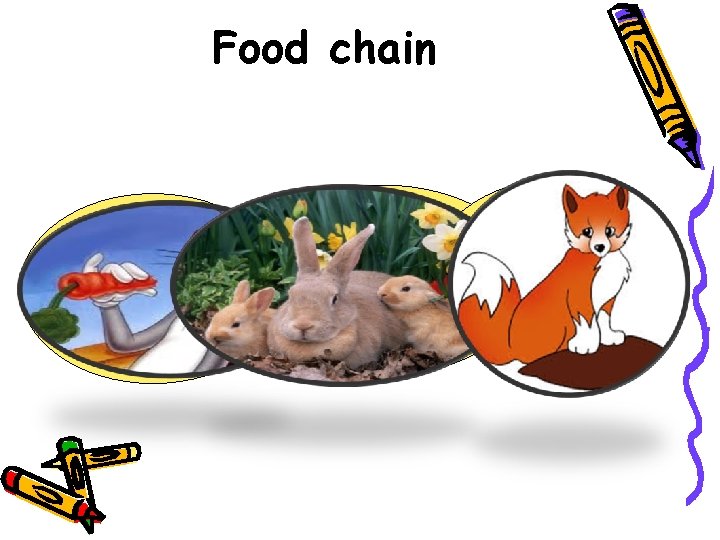 Food chain 