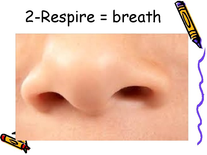 2 -Respire = breath 