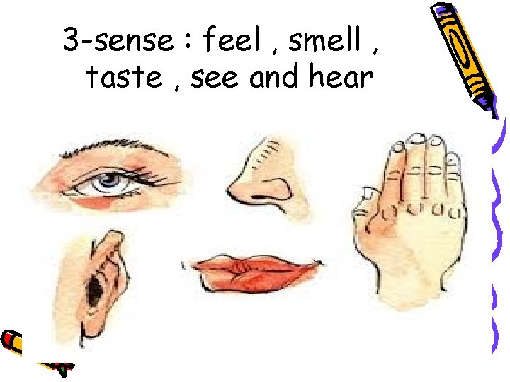 3 -sense : feel , smell , taste , see and hear 