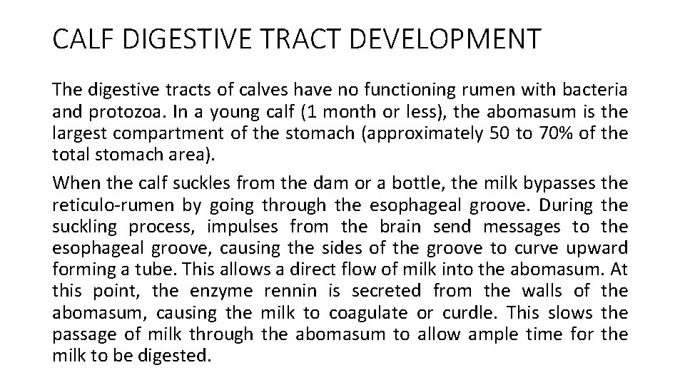 CALF DIGESTIVE TRACT DEVELOPMENT The digestive tracts of calves have no functioning rumen with